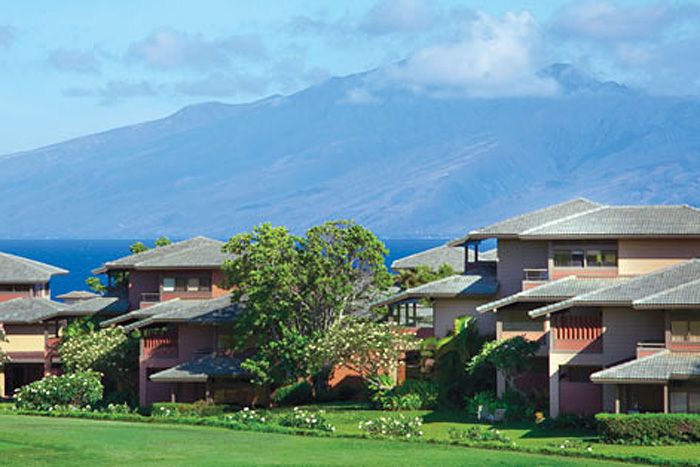 The Kapalua Villas Maui 4